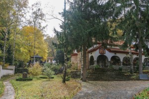 Dragalevtsi Monastery  (26)  